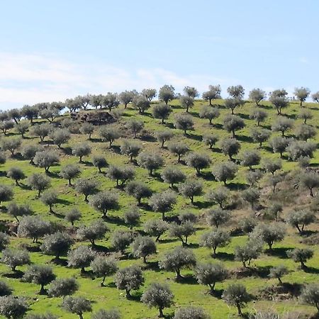 Agroturismo Casal De Castro Avantos Bagian luar foto