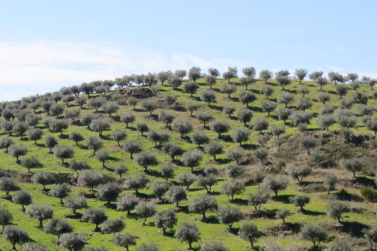 Agroturismo Casal De Castro Avantos Bagian luar foto